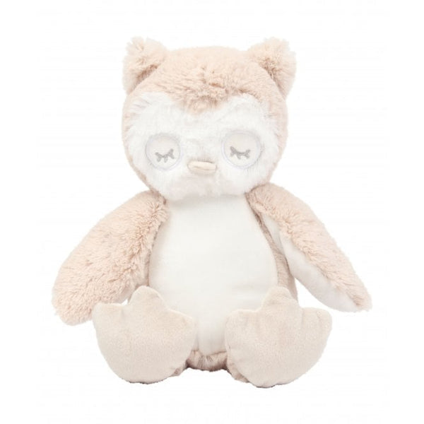 Personalised Teddies π€